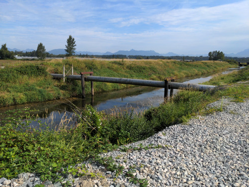OMC5 2025 07 31 09 25 09 Serpentine river.jpg