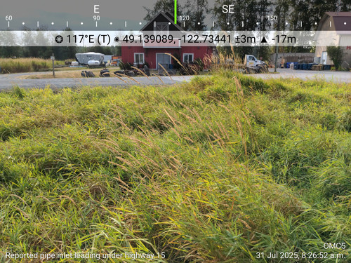OMC5 2025 07 31 08 26 52 Reported pipe inlet leading under highway 15 (1).jpg