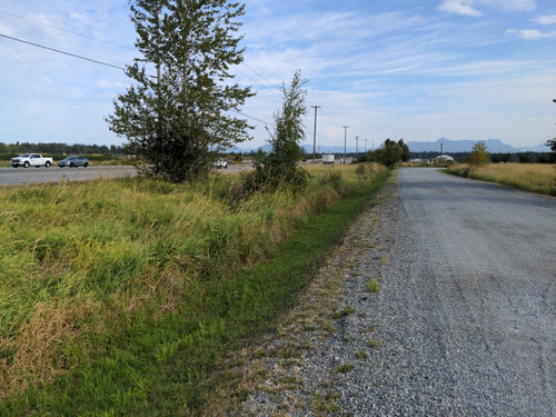 OMC5 2025 07 31 09 01 23 Ditch along honeybee centre driveway.jpg