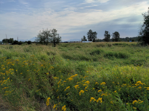 OMC5 2025 07 31 08 54 43 North Creek approaching Fraser highway.jpg