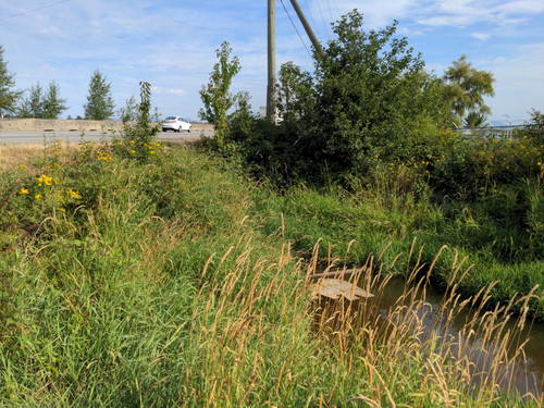 OMC5 2025 07 31 09 11 00 Culvert not visible.jpg