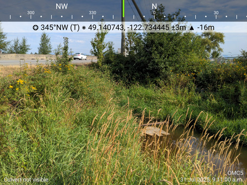 OMC5 2025 07 31 09 11 00 Culvert not visible (1).jpg