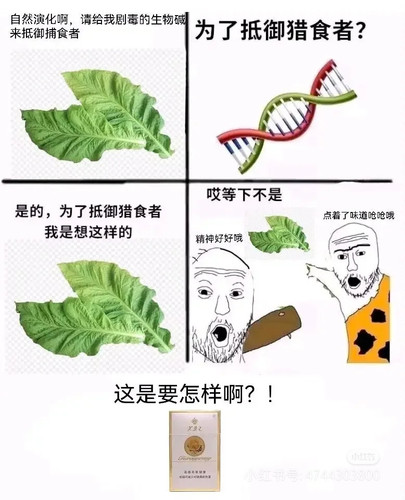1000011874.jpg