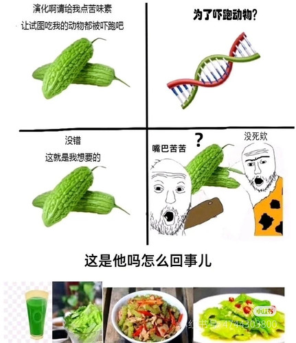 1000011868.jpg