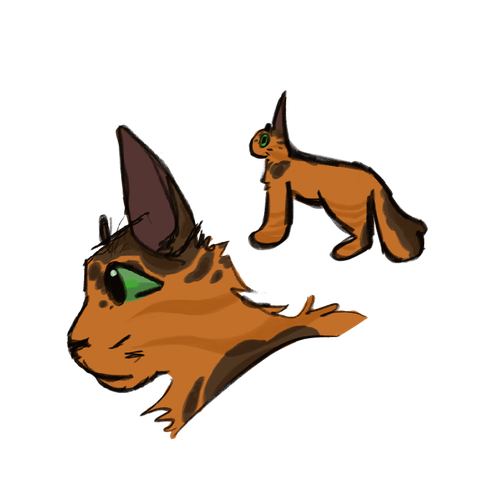 Sparkfur.png
