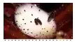 ezgif 397bbfacbe280e.webp