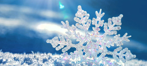 Screenshot 2025 07 31 8.44.12 PM.png