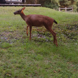 IMG 20250717 202254456
