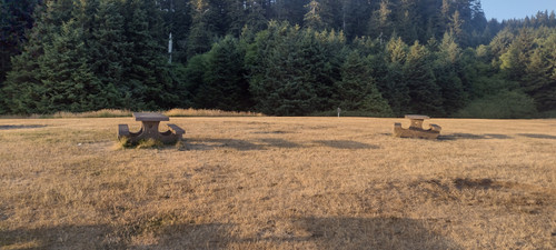 IMG 20250717 201656041 HDR.jpg
