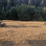 IMG 20250717 201656041 HDR