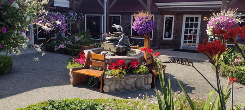 IMG 20250717 172437284 HDR.jpg