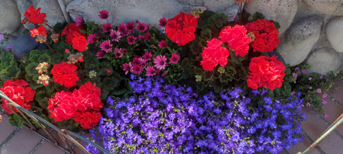 IMG 20250717 164445475 HDR.jpg