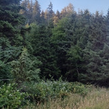 IMG 20250717 201744027 HDR