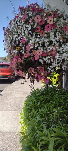 IMG 20250717 150656248.jpg