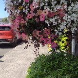 IMG 20250717 150656248