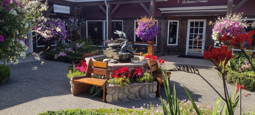 IMG 20250717 172439020 HDR.jpg