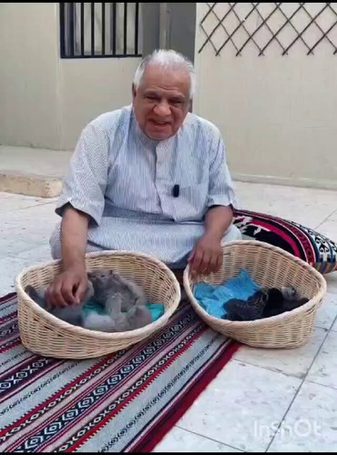 VVVl RfSdL7EwHyJ.jpg