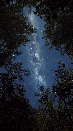 z5v4kCT4xWXvg K7.jpg