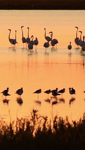 SLw9Z vbL qr5IqE.jpg