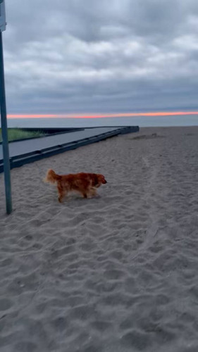 i5Av 4Fi9lV uxQx.jpg