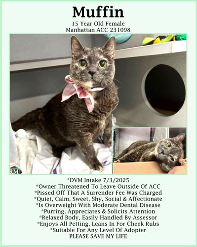 Gvy7mJgasAA 5ei?format=png.png