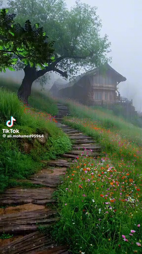 33VWNK8 A6KLke7X.jpg