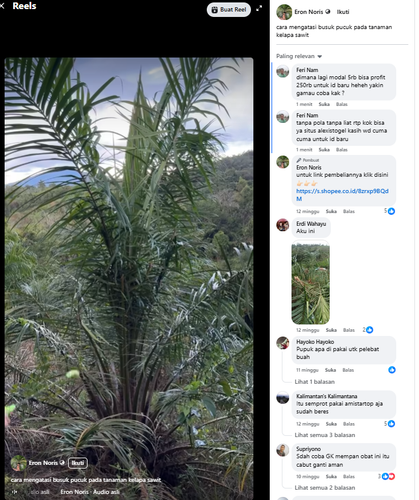 Screenshot 19.png
