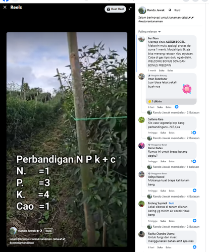 Screenshot 25.png