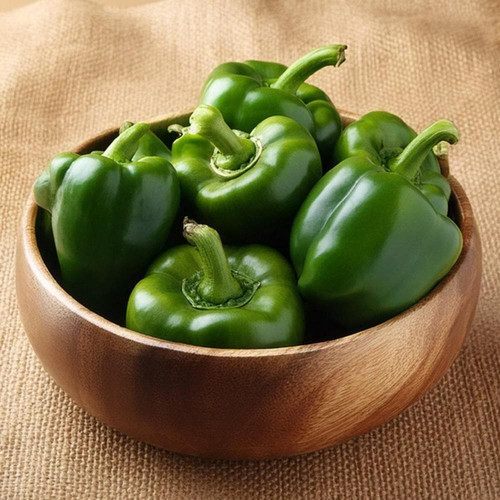 green capsicum 500 g product ima.jpg