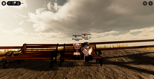 RobloxScreenShot20250717 220158707.png