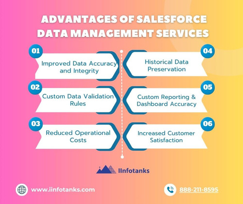 advantages of Salesforce Data Management Services.jpg