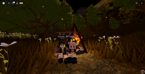 RobloxScreenShot20250717 210729307.png