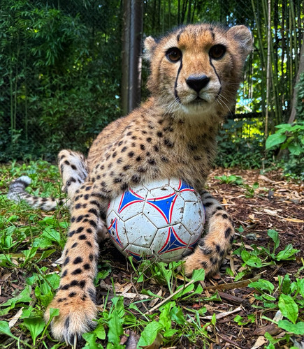 520004872 18510173875040653 2078489579036530990 n.jpg