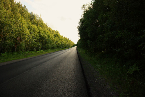 IMG 3207a1.jpg