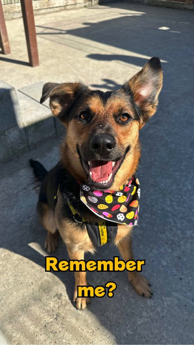 zIUpdSI I81T3xCM.jpg