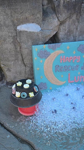 JLNEzJJBksEQf rh.jpg