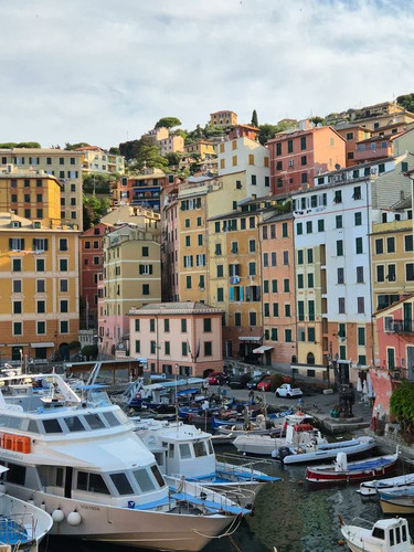 Gv NorlWoAA1JAU?format=jpg.jpg