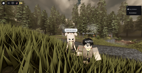 RobloxScreenShot20250717 031342672.png