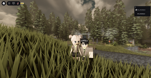 RobloxScreenShot20250717 031347934.png