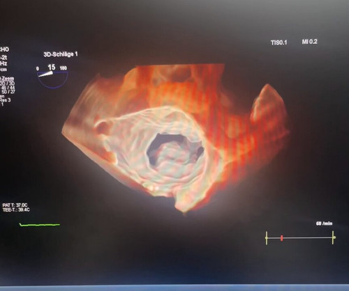 GOoU5 XljS8Uw yl.jpg