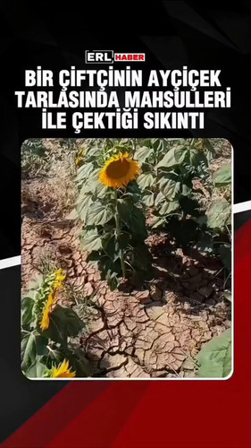 Pkzjb7d0bUdn fi0.jpg