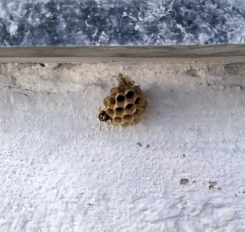 Gv 0VvaWYAELvGi?format=jpg.jpg