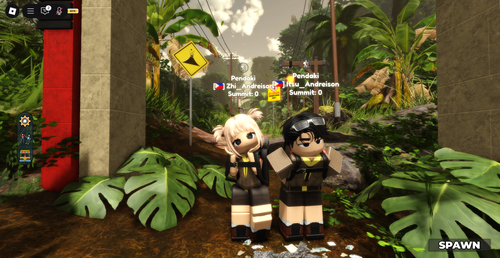 RobloxScreenShot20250717 001839825.png