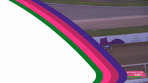 sLpBR4NSSNY63Z l.jpg