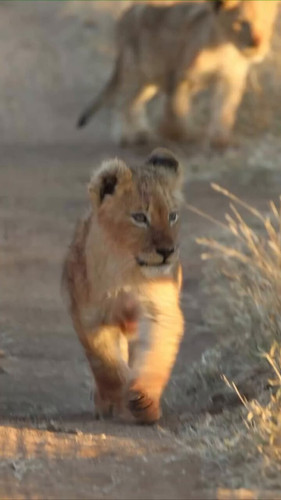 dWW2X0 O0W5QOthU.jpg