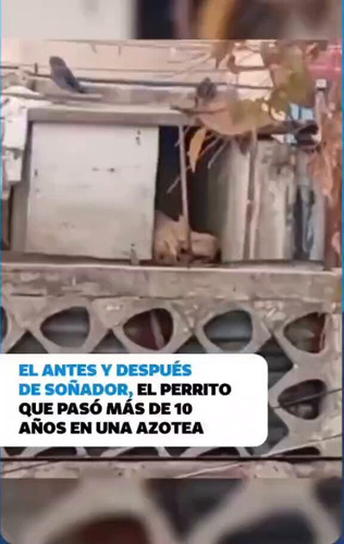 RtPMG0A2JtzBP8te.jpg