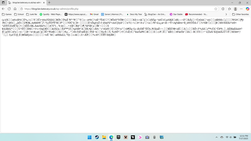 Screenshot 2025 07 17 121154.png