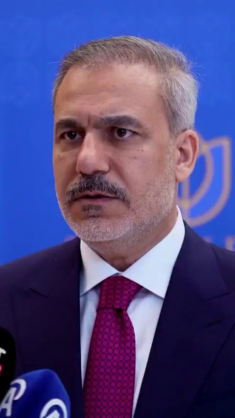 wZjdT90zIoHPP4Cq.jpg