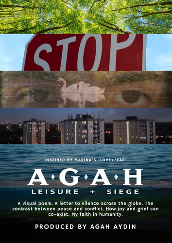 IMG 4551.png