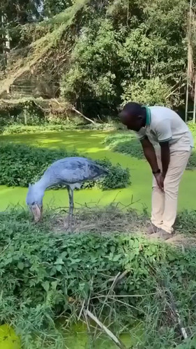 OjIkdQr0Fg4tvzwR.jpg